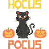 Halloween Cat Pumpkin