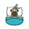 Official sleepshirt Pug