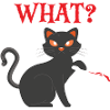 Halloween Quel chat