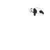 Panda Bear Panda Animal Pandas