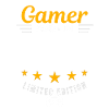 Gamer made in 2006