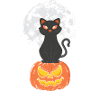 Halloween Cat Pumpkin
