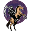 Squelette d’Halloween à cheval