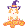 Halloween Cat Pumpkin