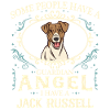 Jack Russell Terrier Dog Owner