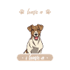 Jack Russell Terrier Dog Owner