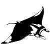Manta ray 2