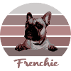 Frenchie, Dogs, Bully, French Bulldog