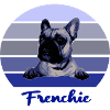 Frenchie, Dogs, Bully, French Bulldog
