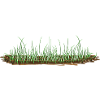 Grass soil natural green