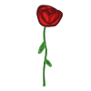 red rose flower symbol plant