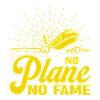 Airline Pilot Airline Captain