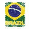 Bandiera brasiliana Brasile brasiliano