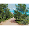 Drawing of Provence - Hiking trail