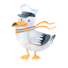 Möwe