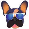 French Bulldog with Sunglasses Dog