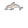 Dolphin Whisperer Cute Dolphin