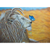Lion rasta et papillon bleu