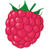 Raspberry Illustration Gift Idea