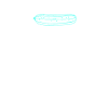 Concombre ECG Concombre