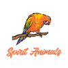 Molinasittich Parrot Bird Sun Parakeet