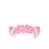 Jiu Jitsu Jiu Jitsu Jiu Jitsu