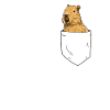 Capybara i brystlomme capybara capybara