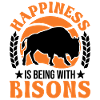 Buffalo Lucky Bison Water Buffalo