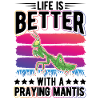 Praying mantis mantis mantis mantis