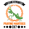 Gottesanbeterin Geschenk Mantis Fangschrecke