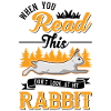 Rabbit Bunny Bunny Rabbit