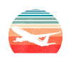 Pilota di linea Aereo Volo Aeroplano Aereo Pun