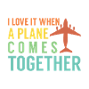 Airline Pilot Airplane Airline Flight