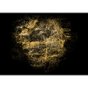 Black & Gold