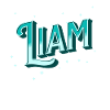 Liam name personalized