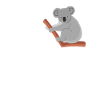 Dear Koala
