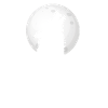 Wolfsrudel Wolf Mond