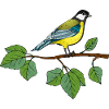 Oiseau
