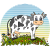 Cow
