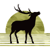 Hirsch