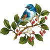 Bunter Vogel