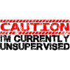Caution I'm Currently Unsupervised