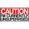 Caution I'm Currently Unsupervised 3