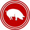 Pig Animal