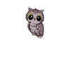 Funny Owl Lover Owl Whisperer