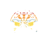 Darts and beer
