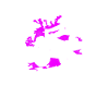 Quad Bike Quad Riders