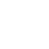 Painter Brush