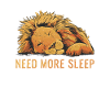Lion Face Painting Artwork