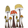 Mushrooms